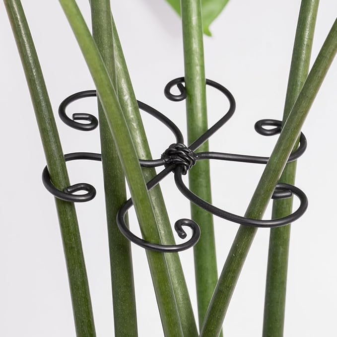 Monstera Plant Support Hook - 4.1x4.1IN 5PCS, Durable Adjustable Stem Support System, Gentle Protection for Monstera and Fishbone Cactus, Professional Indoor Plant Stabilizer