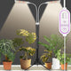 Secefeao Grow Lights for Indoor Plants Full Spectrum, LED Plant Light with Stand, Adjustable Height, Plant Grow Lights with Auto 4/8/12/H Timer for Indoor Tall Plants(210 LEDs-White)