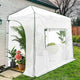 EAGLE PEAK Instant Pop-up Greenhouse, Indoor Outdoor Plant Gardening Green House, Roll-Up Zipper Doors and Side Windows, Lean-to 10x5 ft, PE Cover, White/Clear