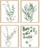 HAUS AND HUES Botanical Plant Wall Art - Set of 4 Prints, Floral Kitchen Decor, Boho Leaf Eucalyptus Wall Art, Green Botanical Poster (Beige Frame, 11x14)