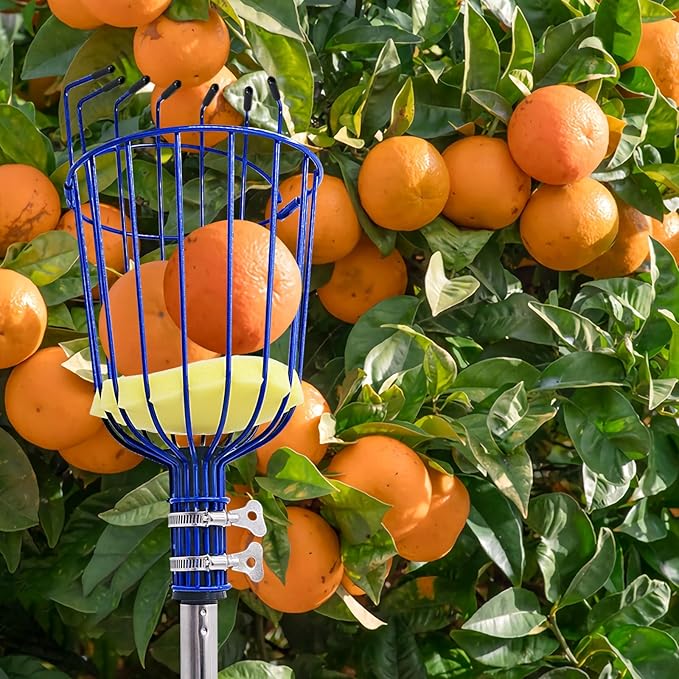 Fruit Picker Tool with Basket & Foam Pad, 35-157 Inch Adjustable Stainless Steel Picking Pole - for Harvesting Lemon Avocado Apple Mango Pear Orange & Tall Tree Fruits