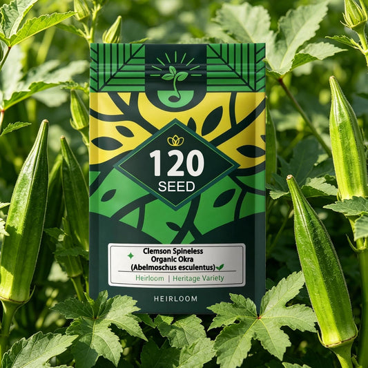 Okra Seeds for Planting Outdoor, Heirloom high Germination Vegetable Seeds