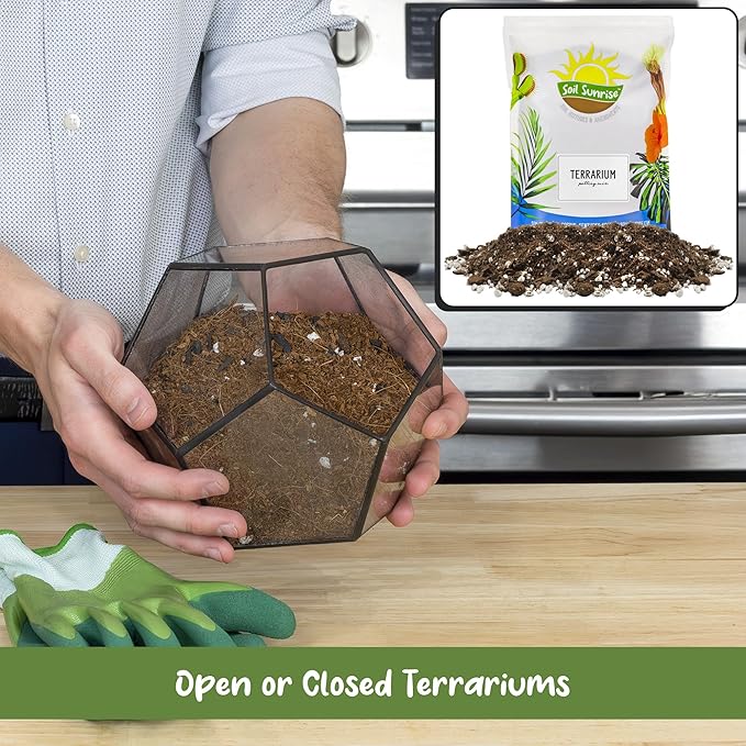 Soil Sunrise Terrarium Potting Soil Mix (4 Quarts) w/Blended Filtering Charcoal Custom Made for Terrariums