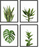 HAUS AND HUES Plant Photo Set of 4-8x10