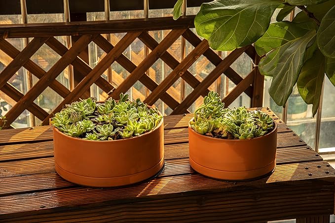 D'vine Dev 10 Inch Succulent Terracotta Shallow Pot with Drainage Hole and Saucer, Round Cylinder Planter Pot for Plant Flower, 40-Y-B-0