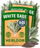 HOME GROWN White Sage Seeds 646 Pack Heirloom Seeds - Grow Aromatic Sage Plants for Your Herb Seeds Garden with Sage for Planting Outdoor or Indoor (Salvia apiana)