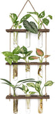 Mkono Plant Propagation Tubes, 3 Tiered Wall Hanging Terrarium with Wooden Stand Flower Vase Test Tube Glass Planter Stations for Hydroponic Cutting Home Garden Office Decor (Brown, Small)