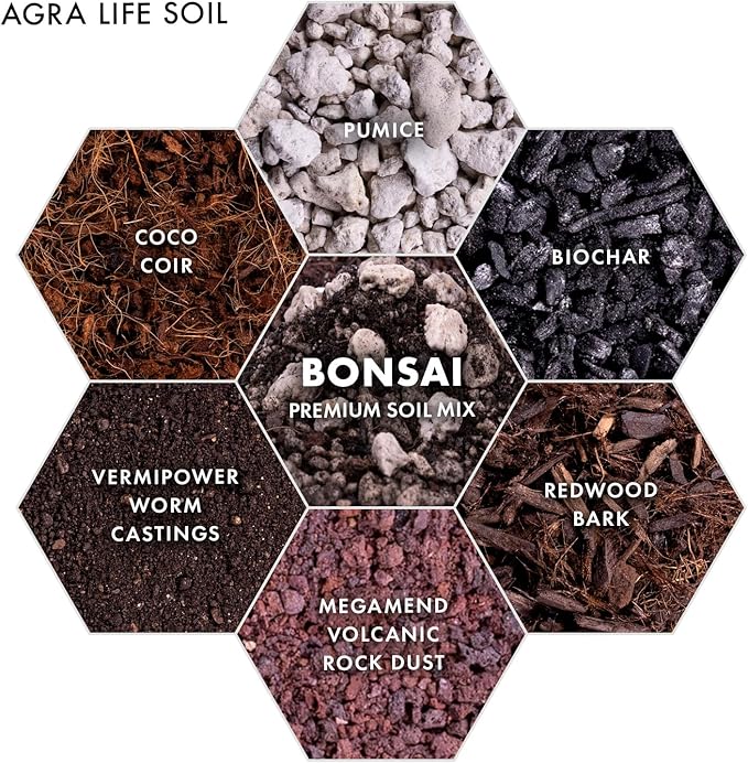 Premium Bonsai Soil Mix for Thriving Indoor Bonsai Trees - Perfect Potting Soil for All Bonsai Varieties - Organic Blend for Optimal Growth - Indoor Plant Soil - 4 Quarts