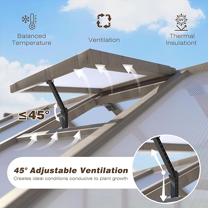MUPATER 8' x 12' Outdoors Walk-in Greenhouse, Wood Greenhouse with Ventilated Window and Lockable Door, 6mm Polycarbonate Panels for UV Protection and Heat Insulation,Suitable for Patio, Backyard