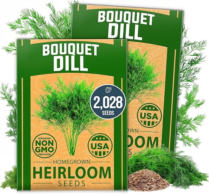 HOME GROWN Dill Seeds 2 Pack (Anethum Graveolens) - 2028 Non-GMO Heirloom Herb Seeds for Planting Indoors or Outdoors, High Germination, Ideal for Herb Gardens, Pots, and Cooking Flavorful Dishes