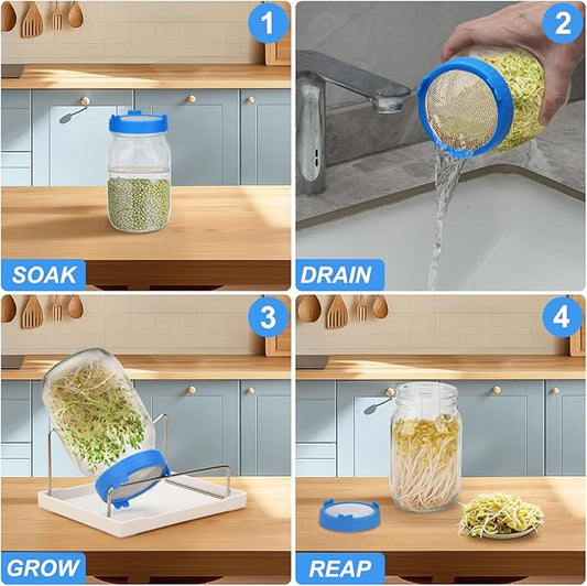 Lulonpon Sprouting Kit, 2 Sprouting Jar Kits, Wide Mouth Quart Mason Jars with Stainless Steel Screen Sprout Lids,1000ml Sprouts Growing Kit, Seed Sprouter Set for Growing Broccoli, Bean, Alfalfa