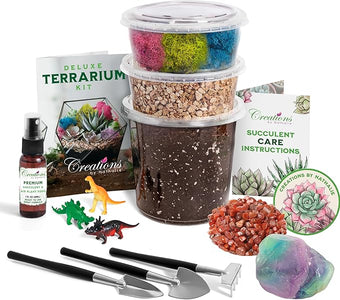 Creations by Nathalie – Premium Small DIY Terrarium Kit for Succulents, Cacti & Air Plants, Includes Soil, Moss, Pebbles, Tools, Amethyst Gem & Crystal Chips – Handmade in USA