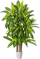 Artificial Dracaena Tree 5ft, Fake Yucca Plant with White Planter and Lifelike Leaves, Faux Dracaena Tall Floor Trees for Home Office Garden Décor