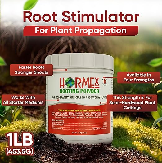 Hormex Rooting Powder #8 (0.80 IBA) - Fast-Acting Rooting Hormone for Semi-Hardwood Houseplants & Tree Cuttings - Root Stimulator for Plant Cloning - Strong Growth for Maximum Propagation Success, 1LB