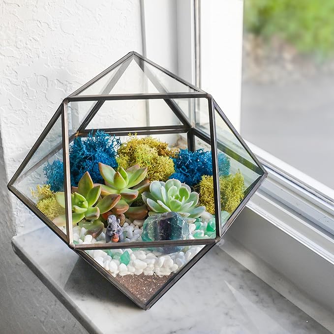 Creations by Nathalie DIY 7" Geometric Terrarium Kit with Live Plants - Build Your Own Glass Terrarium for Adults & Kids with Moss, Crystals, Tools & Decor - Mini Ecosystem - Handcrafted in The USA