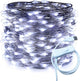 RUICHEN Silver Wire 66 Ft 200 LED USB Fairy String Lights with On/Off Switch (Cool White)