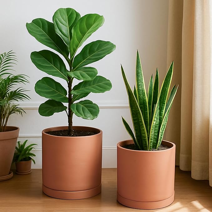D'vine Dev Large 10 Inch Terracotta Plant Pot with Drainage Hole and Saucer, Round Cylinder Planter Pot for Indoor Plants, Set of 2, 40-X-B-5