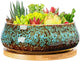 ARTKETTY Succulent Pots - 8 Inch Plant Pot, Large Bonsai Pots with Drainage Tray, Ceramic Planters for Indoor Outdoor Plants, Round Shallow Cactus Flower Plant Container Bowl Decorative Home Garden