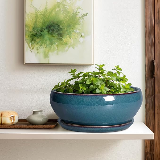SQOWL Bonsai Tree Pots - 12 Inch Ceramic Succulent Pots, Large Shallow Planter with Drainage Hole and Saucer, Bowl Round Planters for Indoor Outdoor Plants, House Decor, House Warming Gifts, Blue