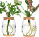 onepeng 2Pcs Propagation Vases for Plants, Well-Made Plant Terrarium, Hydroponic Glass Container Vase Jars, Plant Lover Gifts for Women, Windowsill Kitchen Desktop Decorations