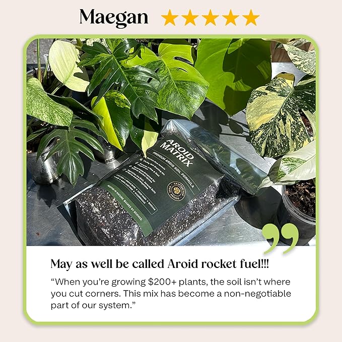Premium AROID Soil Blend for Monstera, Philodendron, Alocasia, Anthurium – Chunky, Optimally Aerated Soil – Organic & Ready to Use – Supercharges Root and Foliage Growth - (2QTS)
