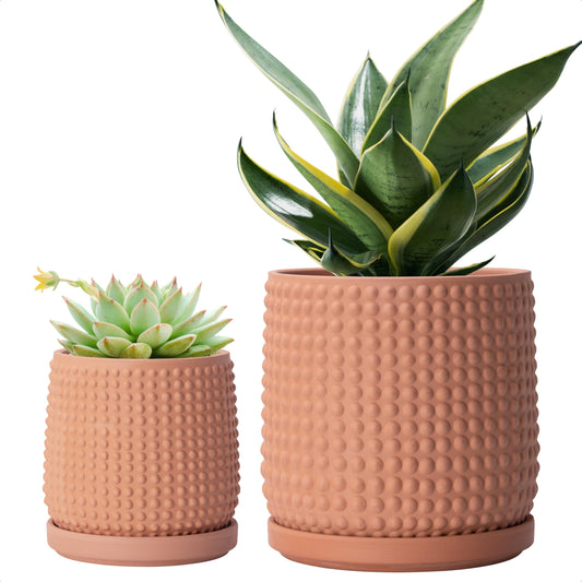 D'vine Dev Beaded Terracotta Planter Pots, 4/6 in,Terra Cotta, 27-D-U-7