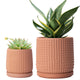 D'vine Dev Beaded Terracotta Planter Pots, 4/6 in,Terra Cotta, 27-D-U-7