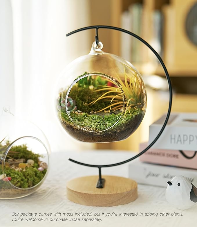 15-Piece Terrarium Kit with Live Moss – DIY Glass Globe Set with Tools, Soil, Stones & Spray Bottle – Indoor Mini Garden Gift for Plant Lovers, Home Decor & Zen Craft