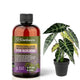 𝐏𝐑𝐄𝐌𝐈𝐔𝐌 Liquid Silica Plant Supplement - 8oz (250mL) - ALOCASIA Plants Liquid Silica Boost Fertilizer - Stronger Stems & Healthy Leaves for Indoor & Outdoor Alocasia Plants (Makes 45 Gallons)