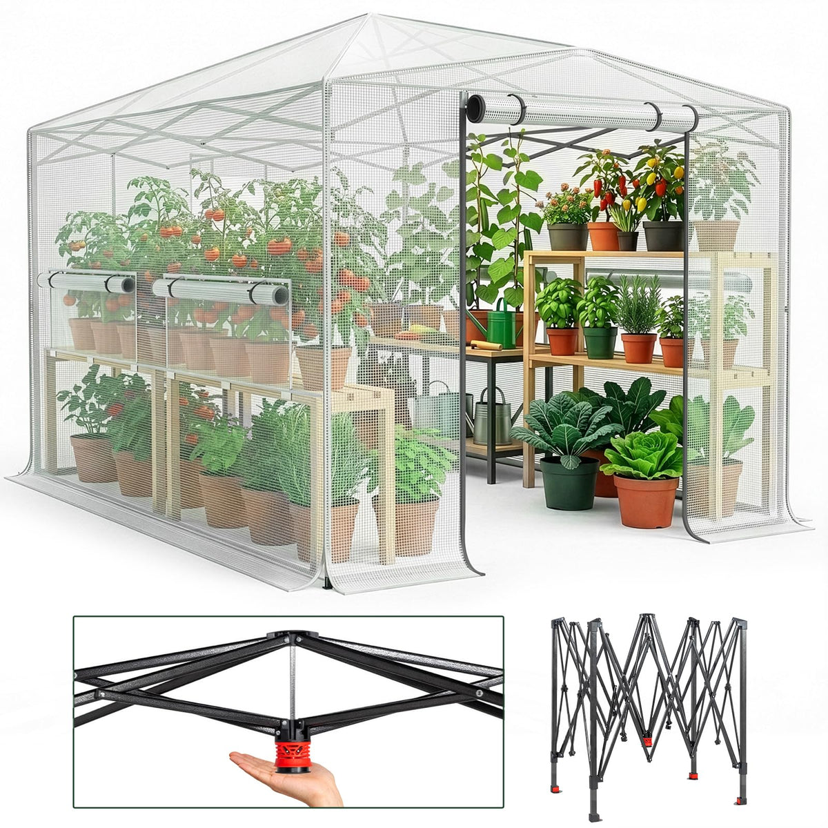 Outvita 8x12ft Greenhouse, Instant Walk-in Pop Up Tent Greenhouse for Indoor Outdoor Gardening Easy Setup Shelter with Roll-up Zipper Entry Doors and Windows