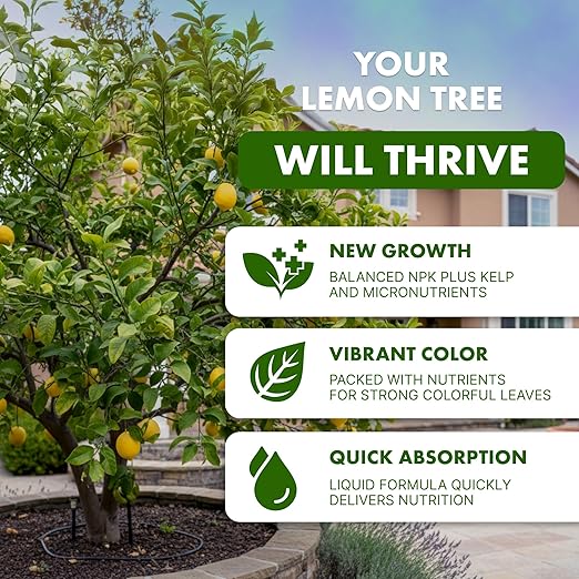 Lemon Tree Fertilizer for Lemon Trees and Citrus, Liquid Plant Food, 1 Gallon (128 oz)