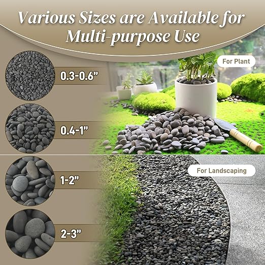 Quibbay 5 lbs Mexican Beach Pebbles, 2-3 Inch Decorative River Rocks for Fish Tank Aquarium Fountain, Decorative Pebbles for Garden Landscaping, Home Décor, Outdoor Paving Walkways Pathways Backyard