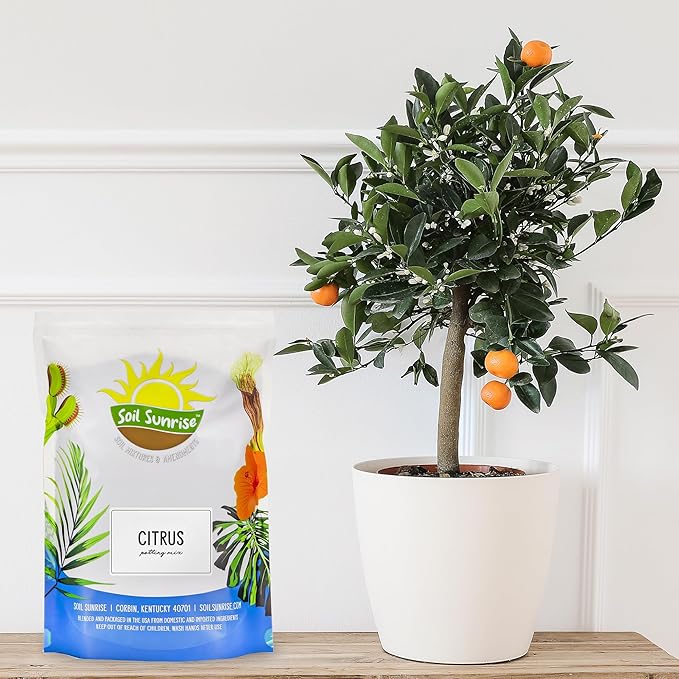 Soil Sunrise Citrus Tree Potting Soil Mix (30 Quarts) Special Blend for Indoor Oranges, Lemons, Limes and More
