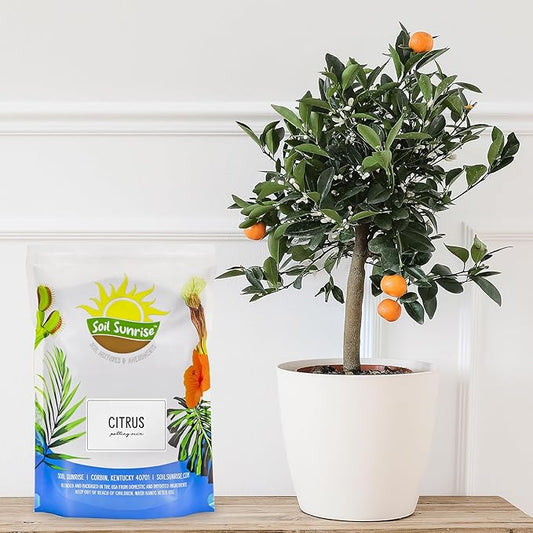 Soil Sunrise Citrus Tree Potting Soil Mix (30 Quarts) Special Blend for Indoor Oranges, Lemons, Limes and More