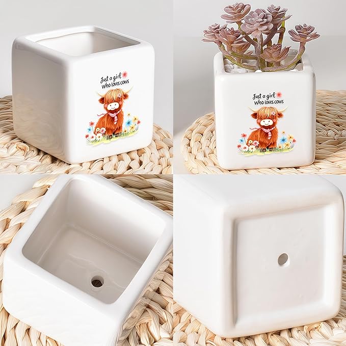 BJDAMAI Highland Cow Succulent Planter Flower Plant Pot Small, Gifts for Women Teens Girls Kids, Cow Lovers Themed Stuff Accessories Things Decor Merch, Home Office Table Desk Decoration!