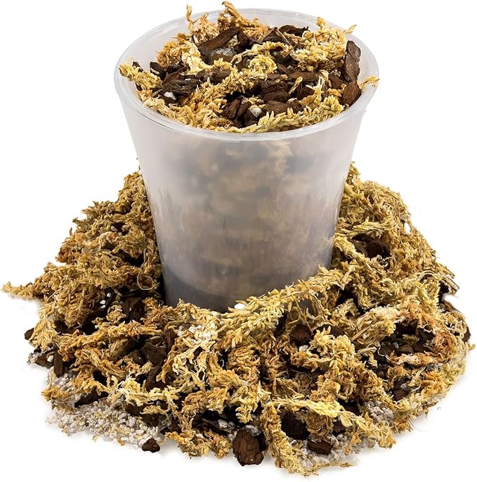Premium Sphagnum Moss, Perlite and New Zealand Pine Bark Blend for Carnivorous Plants - Perfect for Venus Fly Traps, Pitcher Plants, Sarracenia, Butterworts, and Sundews by GARDENERA - 3 Quart Bag