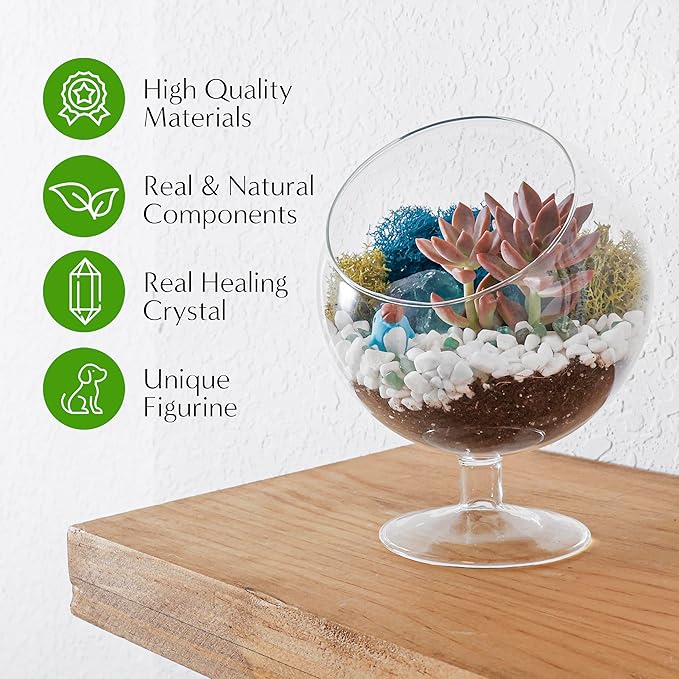 Creations by Nathalie 6" DIY Chalice Terrarium Kit with Live Plants - Build Your Own Glass Terrarium for Adults & Kids with Moss, Crystals, Soil, Tools & Figurine - Mini Ecosystem - Made in The USA
