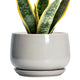 G EPGardening Ceramic Plant Pots, 7 Inch Plant Pot, Light Grey