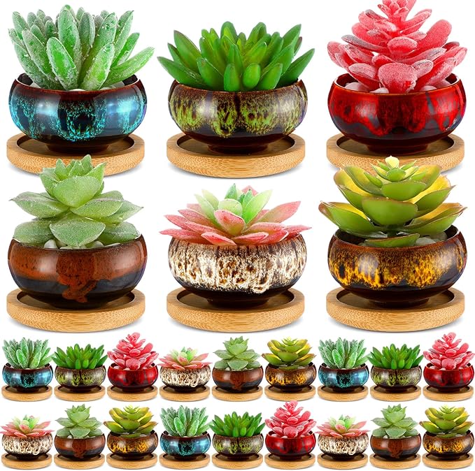 RimCereal 24 Pcs Ceramic Succulent Pots 2.5 Inch Small Plant Pots Indoor with Drainage and Bamboo Saucers Colorful Succulent Flower Planters for Garden Plants Home Decor(Round,1.2 Inch H)