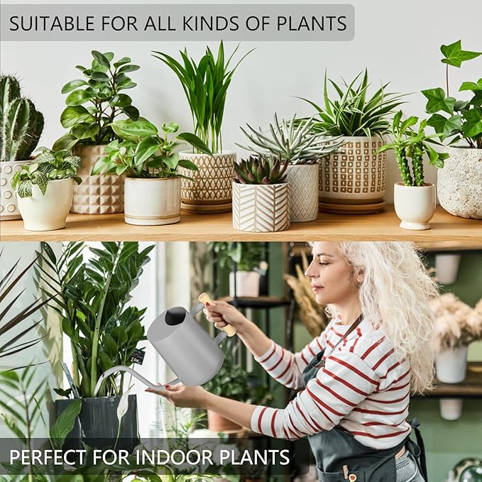 Watering Can Indoor Plants, 35oz Small Indoor Stainless Steel Metal Watering Can Modern Decorative Watering Pot with Long Spout for Indoor House Plant Bonsai Garden Flowers (Gray)