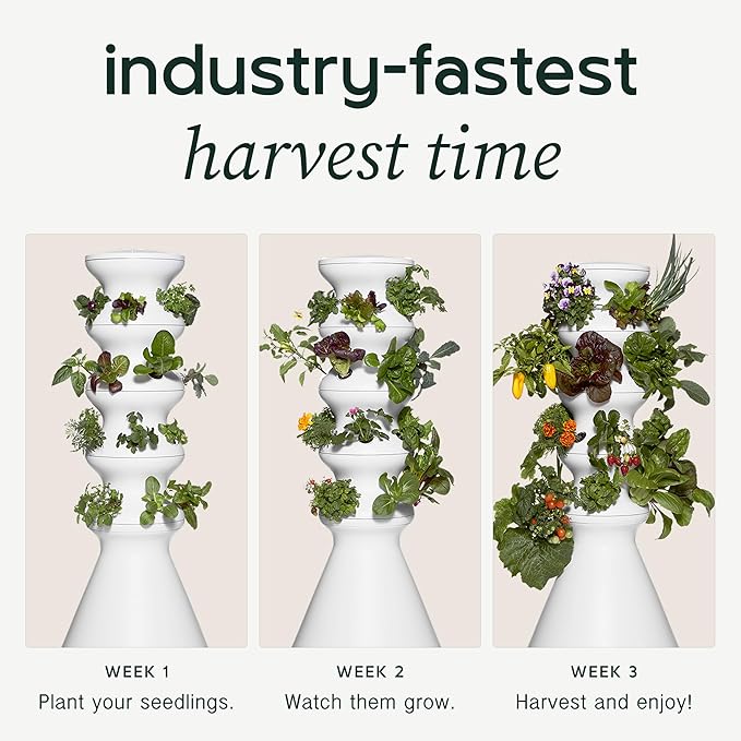 Farmstand Starter Kit with Glow Rings and 12 Seedling Credits | Tiny Hydroponic Growing System Kit | Vertical Garden Planter Tower | 3ft 8in Tall