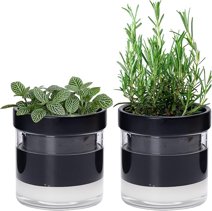 Phoenix Vine 4 Inch Self Watering Planter Pot, Black Terracotta Clay Pot with Glass Reservoir for Indoor Plants, Herbs, Flowers, Set of 2, 52-C-E-2