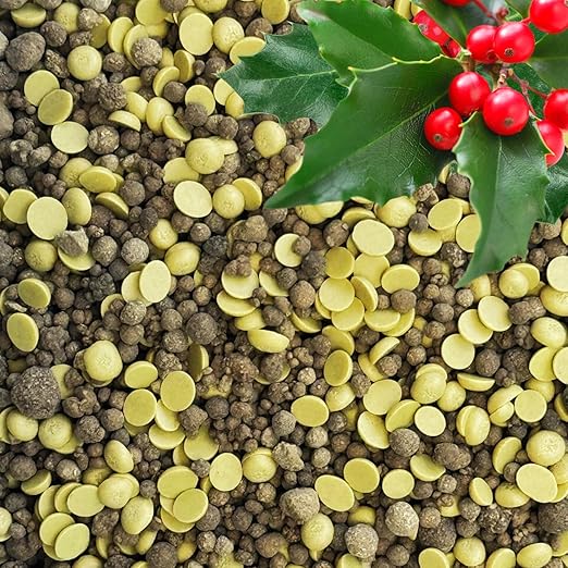 Quick-Release Soil Acidifier - Elemental Sulfur & Gypsum Mix - Hydrangea & Blueberry Fertilizer, Aluminum Sulfate Alternative, Improves Blue Hydrangea Color (8 oz - 0.5 lb.)