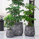 ShangDemonMaster Craft flowerpots 18"+13"+9" Dia Round Concrete Planter Set of 3 Large Outdoor/Indoor Planter Pots Containers with Drainage Holes and Rubber Plug for Home Garden (Dark Gray, Large)