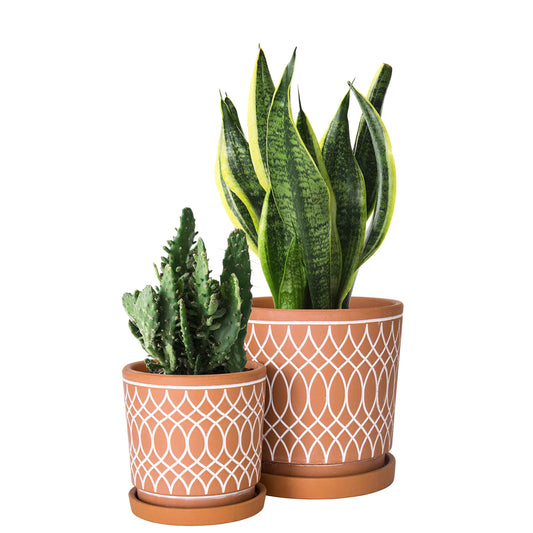 D'vine Dev 2-Pack Terracotta Pots with Saucers, 4/6 in, 31-958-C-1