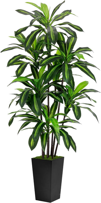 Artificial Dracaena Tree 6FT - Faux Tree with Black Tall Planter - Fake Tropical Yucca Floor Plant Potted - Artificial Silk Tree for Home Office Living Room Decor Indoor