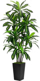 Artificial Dracaena Tree 6FT - Faux Tree with Black Tall Planter - Fake Tropical Yucca Floor Plant Potted - Artificial Silk Tree for Home Office Living Room Decor Indoor