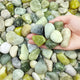 FANTIAN 10 lbs River Rocks, 1-2 Inch Polished Pebbles for Indoor Plants, Decorative River Stones for Succulent, Landscaping, Vases, Backyard, Crafting and Garden
