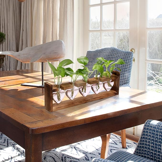 Plant Terrarium Hanging Propagation Stations Gift for Women Air Plants Holder with Wooden Stand Heart Glass