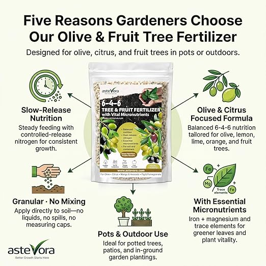 Olive Tree Fertilizer – Fruit Tree Fertilizer for Olive Tree, Citrus, Lemon, Lime, Fig, Avocado, Mango, Apple & Pomegranate – for Potted & Outdoor Trees (2 quarts - 4 lbs.)